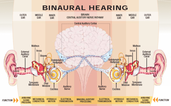 Binaural Hearing