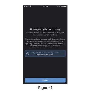 Widex Moment 300x300