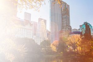 Find an Audiologist with a Doctorate